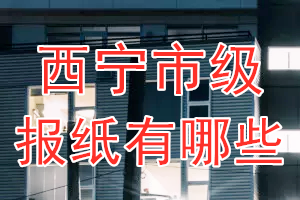 西寧市級報紙有哪些？